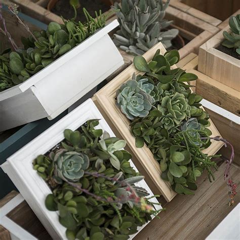 Encuentra una amplia variedad en nuestra tienda para decoración, bodas y eventos, grandes, de interior y exterior. Cuadro Vivo "Babilonia" Liso Grande - DecoGallery | Decoracion con plantas artificiales ...