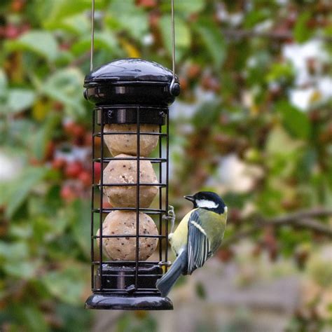 How to Attract Garden Birds | Attract more birds to your ...