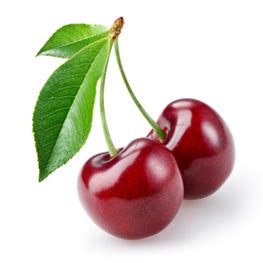 Contact cherry mobile on messenger. The meaning and symbolism of the word - «Cherry»