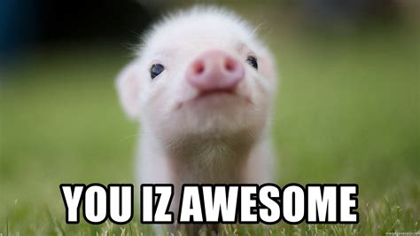 Online, however, jokes about the catchphrase involve people joking as though they literally cannot see john cena. you iz awesome - cute pig | Meme Generator