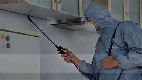 How to choose a pest control company. Pest Control Company in WA - YouTube