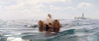 Zhang and his daughter, suyin, an oceanographer, are supervising a mission to dive further into the depths of the marianas trench, believing that the bottom is not really a floor, but rather a gas cloud. The Meg film imagery