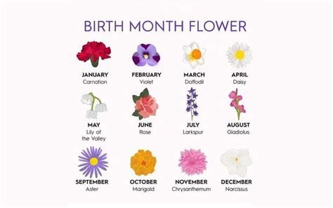 Maybe you would like to learn more about one of these? 12 Korean Birth Flower For Each Month With Meanings To ...