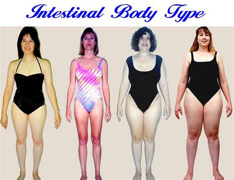 Female body types and body shapes different body types women have. Women's Body Type Test - the Body Type Diet for Women ...
