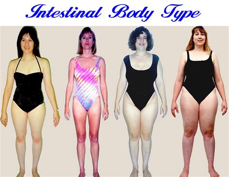 The women of this body type tend to have a (relatively) larger rear, robust thighs, and a small(er) this body type enlarges the arms, chest, hips, and rear before other parts, such as the waist and. Women's Body Type Test - the Body Type Diet for Women ...