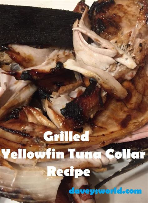 Striped bass, salmon, lake trout, redfish, tautog, yellowtail, white seabass, really big pacific rockfish or largemouth bass, lingcod, snapper or grouper, and sablefish, also known as black cod. What To Do With This Collar? - Quick Recipe | Food recipes, Yellowfin tuna, Quick recipes