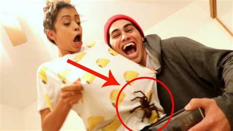 David dobrik broke into the youtube scene and him and his group of friends have dominated ever since. David Dobrik - SURPRISING GIRLFRIEND WITH TARANTULA!! | Me ...