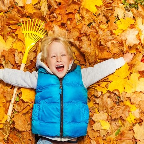 Superior pest management provides quality pest control services to charlotte, nc & the surrounding areas. Greensboro, Winston-Salem Pest Control & Extermination ...