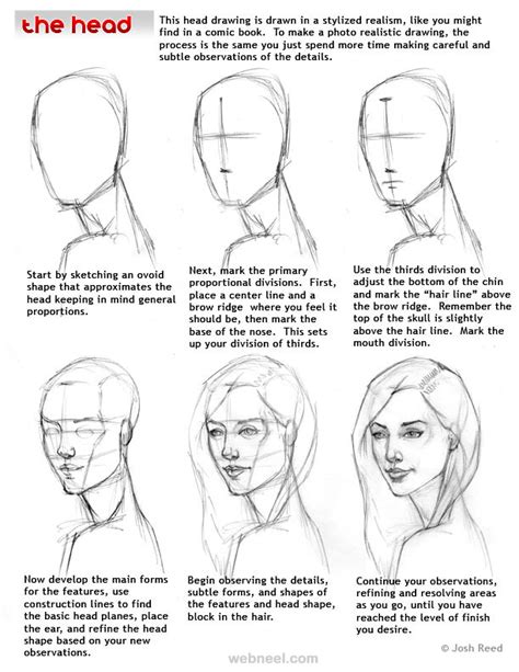 The female nose is a little bit smaller than the male nose in general. How to Draw a Face - 25 Step by Step Drawings and Video ...