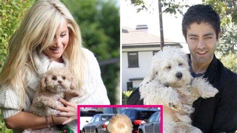 Maybe you would like to learn more about one of these? So süß sind die Hunde von Paris Hilton & Co. | Promiflash.de