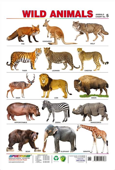 Sikkim animals name with pictures. Espectro preescolar niños aprendizaje Póster educativo ...