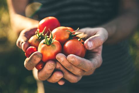 Once the plants are growing, transplant the seedlings, making sure each plant has 6 of space on. Edible Garden Ideas And A Plant Based Recipe From The ...