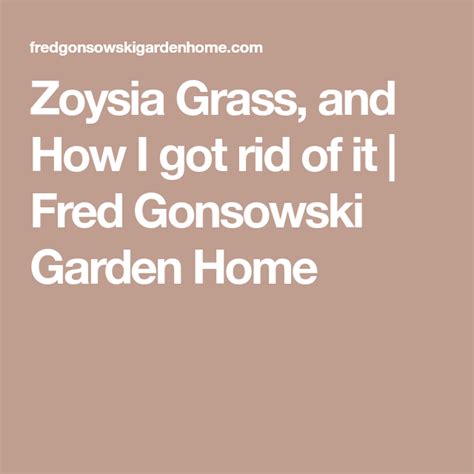 By tim riley may 25, 2020, 6:51 am 10 comments. Zoysia Grass, and How I got rid of it | Zoysia grass, Grass, Home and garden