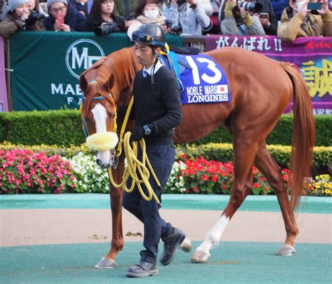 It is run over 2000 metres at hanshin racecourse in june. 【鳴尾記念2019予想】宝塚記念3着のノーブルマーズ、阪神巧者の ...