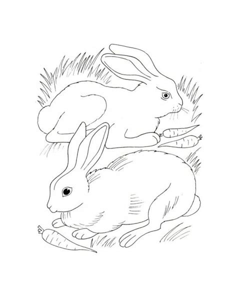 Color easter rabbit bunny animal carrot child drawing zoo art baby black butterfly cartoon character cheerful childhood coloring coloring book coloring page cub cute friendship fun funny happiness happy hare illustration isolated joy kids little mammal meal nature pet sitting small tale toy vector white. Rabbit With Carrot Coloring Pages - Animalscoloring.com ...