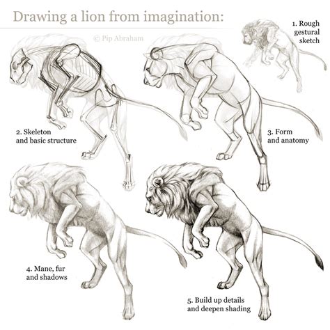 See more ideas about cartoon, gym art, vector illustration. Tutorial: Drawing a lion from imagination by oxpecker ...