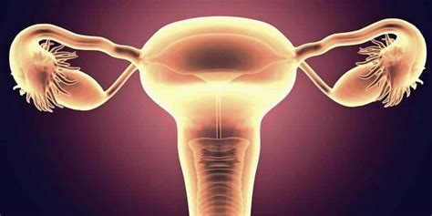 Jika sudah divaksin anda akan terbebas dari kanker serviks atau kanker mulut rahim. 7 Tanda-Tanda Kanker Serviks Stadium Awal • Deherba.com