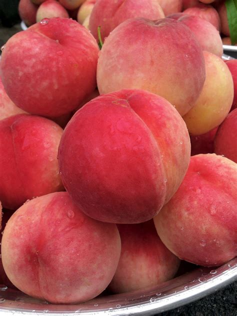 Alternatively search google for pibk. Pink peaches on a white plate free image download