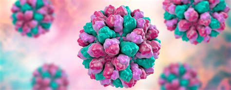 Norovirus is the leading cause of vomiting and diarrhea from acute gastroenteritis (inflammation of the stomach and intestines) among people of all ages in most norovirus outbreaks in the united states happen from november to april. Norovirus 2019: Warum die Erreger so gefährlich sind ...