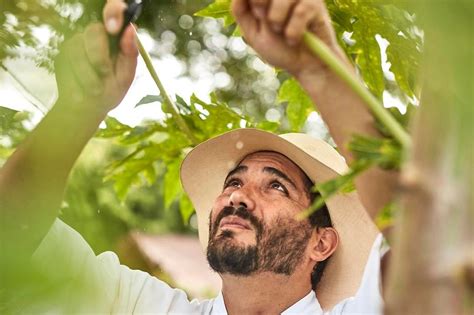 Wed 21 nov 2018 01.00 est. Los sabores con contenido milenario del chef Rodrigo ...