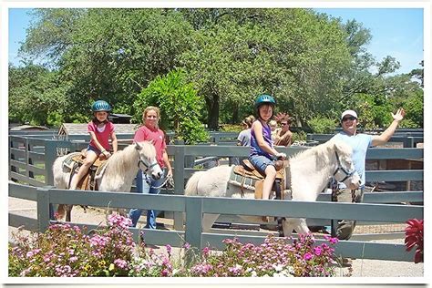 Booking a jersey city petting zoo through gigsalad offers you extra protection you can't get anywhere else. Lawton Stables - Pony rides and petting zoo - located in ...