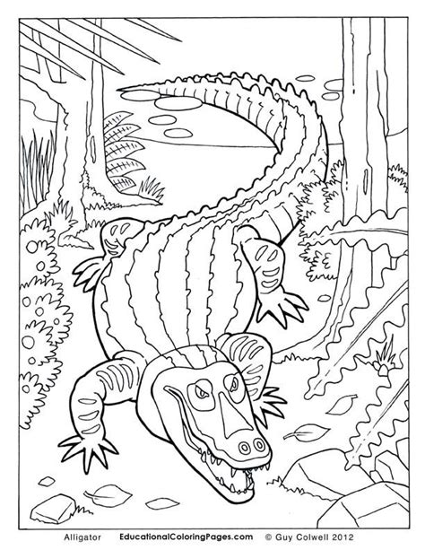 This alligator coloring pages will helps kids to focus while developing creativity, motor skills and color recognition. alligator coloring pages, alligator colouring pages ...