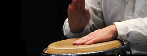 Mushrooms are having a moment. Weekly Hand Drumming Classes! - Guelph, ON