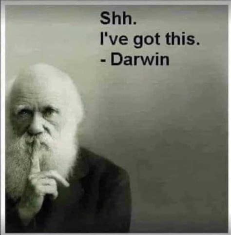 Hang on i got this. dopl3r.com - Memes - Shh. Ive got this. - Darwin