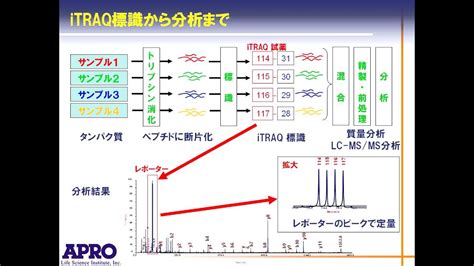 The isobaric tags for relative and absolute quantification or itraq method is a popular quantitation method based on the. iTRAQを用いたタンパク質発現・定量解析 - YouTube