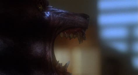 Hoping to conquer her inner demons, she heads for the colony, a secluded retreat where the creepy residents are a little too eager to make her feel at home.</p. Splatter Time Fun Fest 2013: The Howling (1981) | Bill's ...