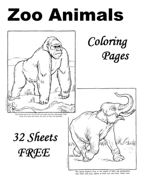 They are fun to customize and color for homeschool. Zoo Animal Coloring Sheets and Pictures!