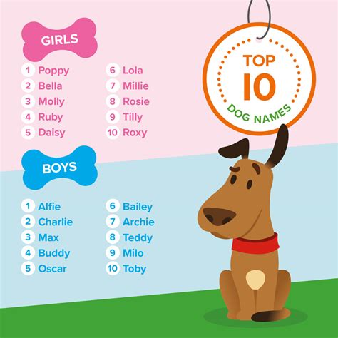 37 best ideas for coloring | Cute Dog Names For Boys