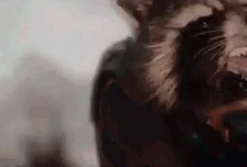 I would very much like to go there, please. Le plus récent pour Rocket Raccoon Shooting Gif - Abdofolio