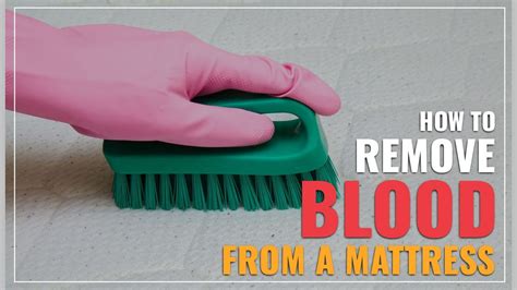 How to remove blood stains from sheets, bedding & mattresses. How To Get Blood Out Of Mattress (Step By Step Guide)