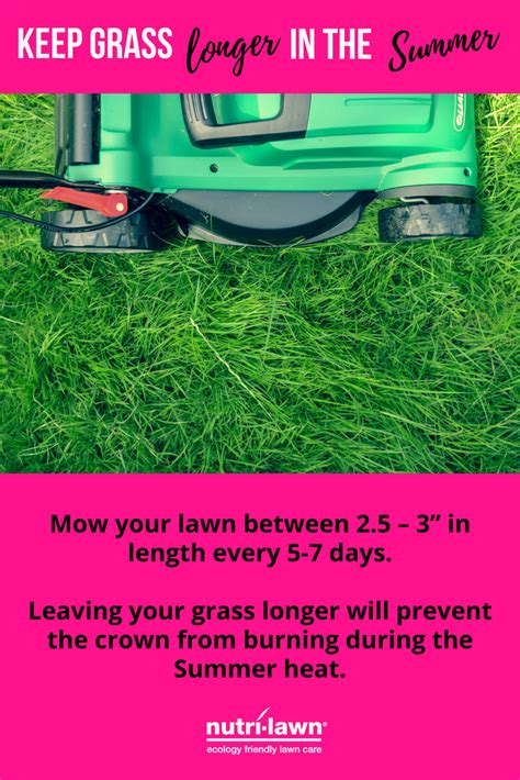 Tweeting about #lawn care, tips and tricks, general yard maintenance and other topics of interest. Mow your lawn between 2.5 - 3" in length every 5-7 days ...