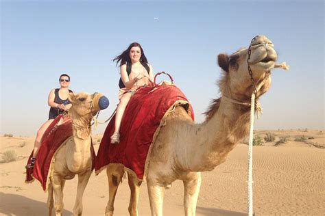 Skip the hassle of transport and logistical planning; Dubai Overnight Safari Experience with Camel Ride 2020