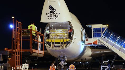 Becoming one of the first countries to adopt the initiative, singapore will accept the iata. Vaccines arrive in Singapore: 5 pillars for overcoming ...