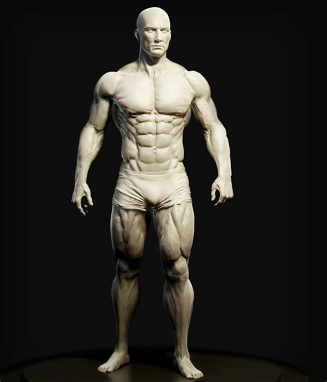Hey all, this is a model i created to use as reference. ArtStation - Male Anatomy Study, Andres Zambrano