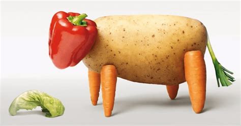 Qu'en est il de la livebox la plus récente dont la portée serait améliorée ? 3 raisons de réduire sa consommation de viande et manger ...