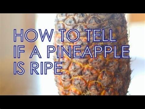 How to tell when pineapple guavas are ripe home guides ? How to Tell if a Pineapple is Ripe - YouTube
