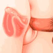 Spade King (@candf98951) | Twitter Next to it, artificial insemination is simply an innovation.