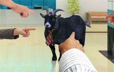 Dikutip dari muslim.or.id, syaikh abdul aziz bin baz mengatakan, disyariatkan bagi orang mukmin. Arti Ungkapan Kambing Hitam Adalah ? dan Contoh Dalam ...