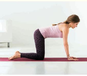 People who liked cathy hummels's feet, also liked Yoga mit Cathy Hummels: Vierfußstand - netzathleten.de