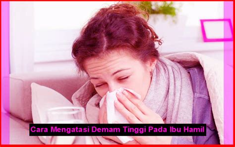 Bukan berlaku di malaysia sahaja, tetapi demam denggi juga turut berlaku. Cara Mengatasi Demam Tinggi Pada Ibu Hamil | Komunitas Ibu ...