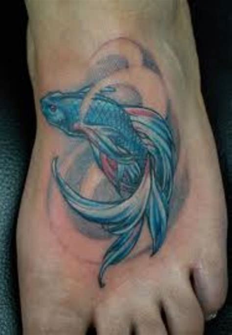 Aug 19, 2012 · betta fish tattoo design ideas. Beta Fish Tattoos And Designs-Beta Fish Tattoo Meanings ...