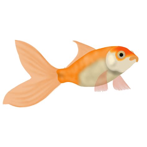 4,000+ vectors, stock photos & psd files. Pretty Fish Drawing | Free download on ClipArtMag