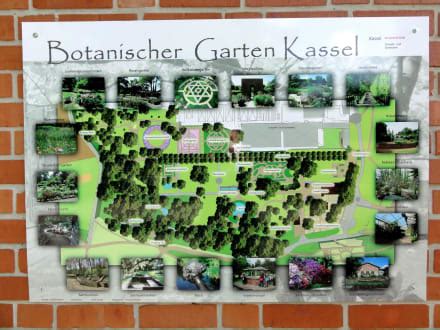 Wie im jahre 2020 planen wir ein konzertprogramm im. "Übersichtsplan des Botanischen Gartens" Bild Botanischer ...