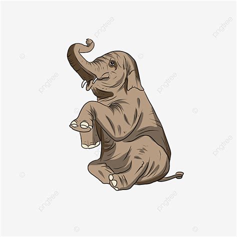 Gambar sketsa gajah duduk ini. Gambar Sketsa Gajah Duduk / Gambar Gajah Duduk Png Vektor ...