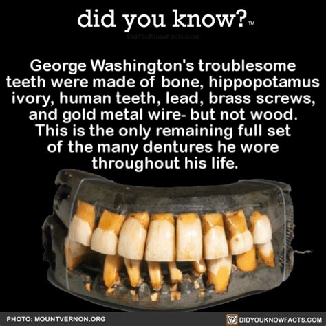 The british were a pain, to be sure, but what really caused him trouble were his teeth. george-washingtons-troublesome-teeth-were-made-of - did ...