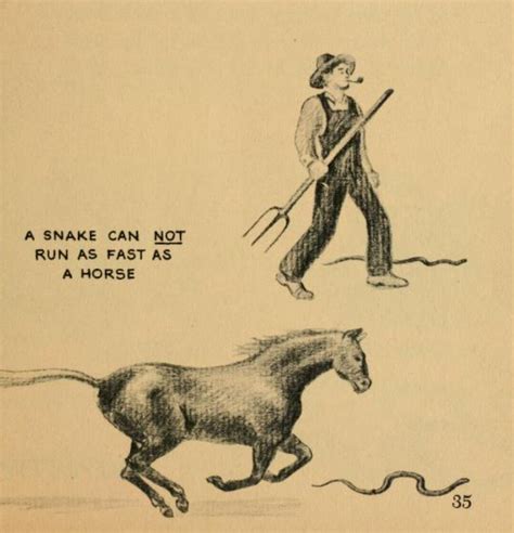 38 do you like camels? nemfrog - "A snake can not run as fast as a horse ...